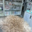 이윤세동물병원 이미지