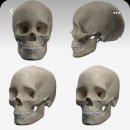 [백석]연필드로잉 이미지