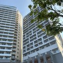 리센오션파크호텔C동 | 속초 리센오션파크 C동 주니어스위트 속초 가족여행 숙소 추천 후기