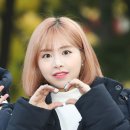 채원 이미지