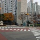 신나무실약국 Daum카페
