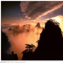 삼라만상 이미지