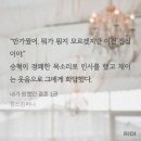 [로맨스/웹소설 리뷰] 내가 원했던 결혼 - 킴쓰컴퍼니 (스포 O)