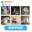 펫아뜰리에