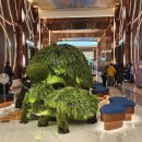 오로라스파&휘트니스 이미지