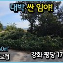 토지시장마트 이미지