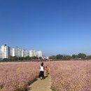 착한가격착한빵집 쉐프윤 이미지