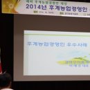강화오이총각