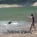 자프란
