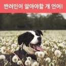 선화로8길 이미지