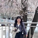 내 방식대로 봄 만끽하기