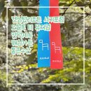한국지엠서귀포 바로서비스 | [제주] 오설록 티 뮤지엄 | 안덕계곡 | 해심가든 | 켄싱턴리조트 서귀포점 | 통큰수산 | 내돈내산 솔직후기
