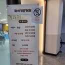 화성 안녕동 가성비 좋은 하이 키즈카페) 26개월, 45개월 아기 후기