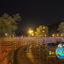 들성생태공원 이미지