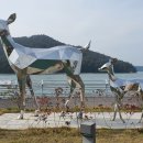 매동마을회관 이미지