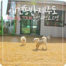 놀멍쉬멍고르멍 이미지