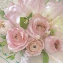 블루밍 플라워 앤 가든 이미지