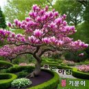 100세의료기 이미지