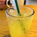 hot영양 | 스타벅스 유자 배 캐모마일 티 후기 HOT vs ICE 비교 가격 칼로리 정보