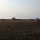 사하구-19 티스토리