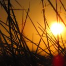 신평2동-1 이미지