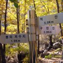 춘식이네 이미지