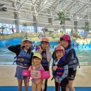 용인대 멘토 태권도장 이미지