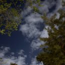 팡팡노래방 | 대구 동성로 스파크랜드 | 하늘 위에서 노래 질렀던 관람차 노래방 후기