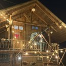 숲속오두막 | #16 양산카페🌿🌳요정들이 살 것 같은 숲속 오두막, '우드앤 숲' 감성 리뷰 🌲✨💚