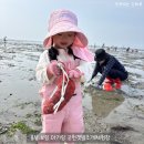 군헌갯벌체험학습장 예약 요금 충남 보령 아기랑 바지락 해루질