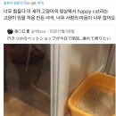 해피캣 밈의 슬픈 진실.twt 이미지