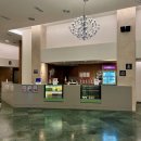 북평농협 | 파인포레스트 알파인리조트 : 전객실 웅장한 가리왕산 마운틴뷰! 너무 만족한 가성비 최고 슈페리어룸 후기