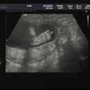 오월희망의원 이미지