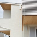 루미나드 이미지