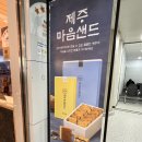 파리바게뜨 제주공항탑승점 방문후기/제주 마음샌드/한라봉🤗