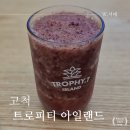 고척동카페 생과일주스 트로피티 아일랜드 솔직후기