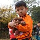 잼버리어린이집 이미지