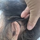 이명경로당 이미지