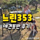 경주 안강 느린353 애견동반 카페 내돈내산 후기