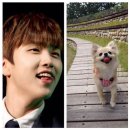 산들 강아지 이미지