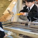 부산대트루바두르 | 부산대 주주타임 부산 금정구 실내동물원 솔직후기