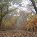 너럭바위 민박 이미지