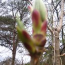 광일농장 이미지