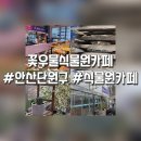 제주커피식물원 이미지
