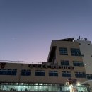 삼학도영덕대게킹크랩 | 영덕 대게 킹크랩 식사,포장 동광어시장 영덕대게센타42호 단골후기