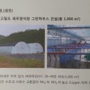 장어와미꾸라지 이미지