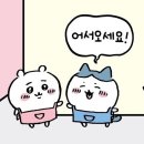 광명로 | [테슬라 스타일 랩] 모델 3와 모델 Y 시공 후기 (광명로점)
