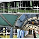 동산초교 이미지