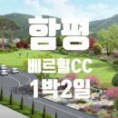 설렘여행사 이미지