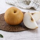 육회생각 이미지